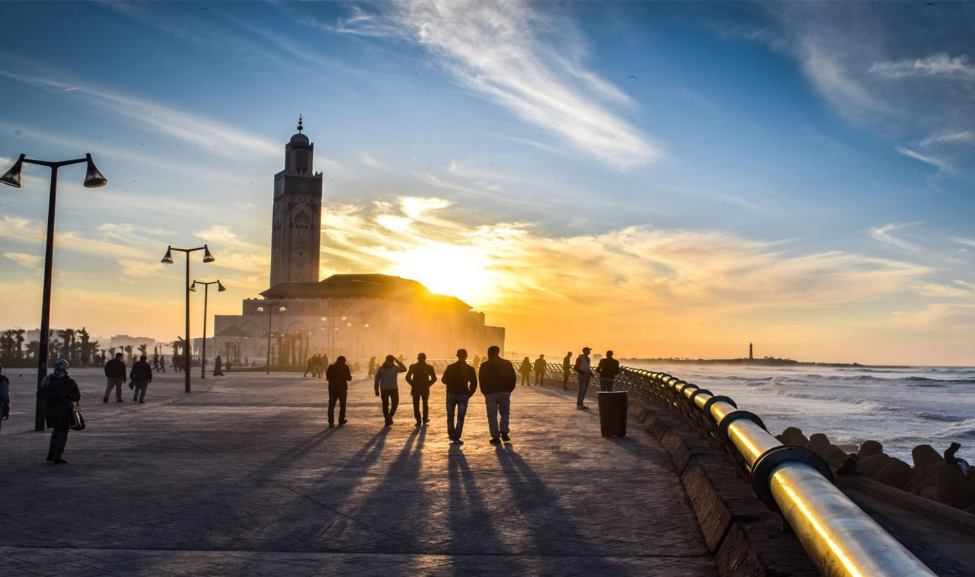 casablanca-fiche-contact